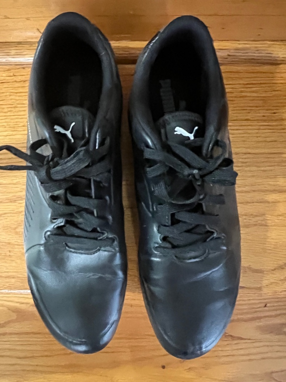 Puma bmw sneakers
